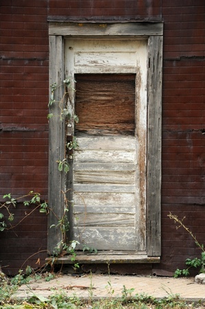 Wooden
                                  Door